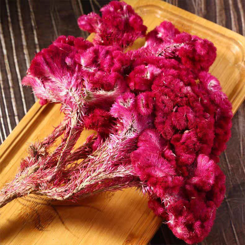 鸡冠花中药材红鸡冠花干花鸡公花鸡冠花安国中药材批发