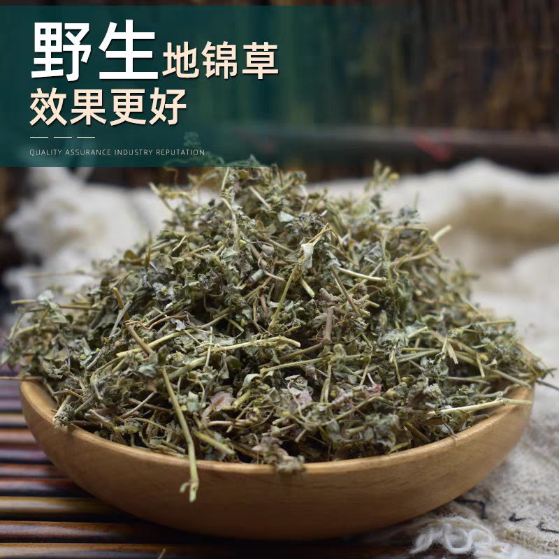 地锦草奶浆草铺地锦铺地红卧蛋草地安国中药材批发