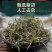 地锦草奶浆草铺地锦铺地红卧蛋草地安国中药材批发
