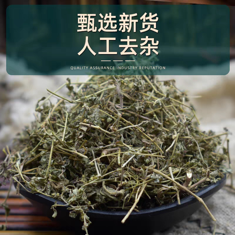 地锦草奶浆草铺地锦铺地红卧蛋草地安国中药材批发