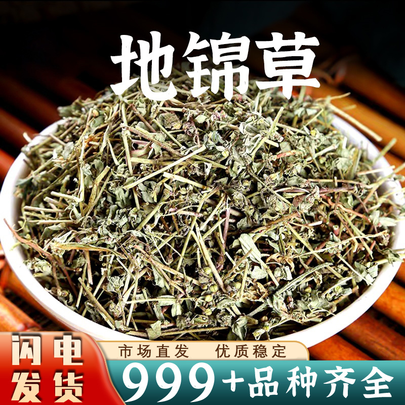 地锦草奶浆草铺地锦铺地红卧蛋草地安国中药材批发