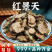 西藏红景天中药材泡水正品红景天安国中药材批发