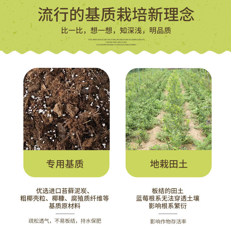 种蓝莓专用基质土营养土蓝莓树盆栽专用通用土壤蓝莓有机土土