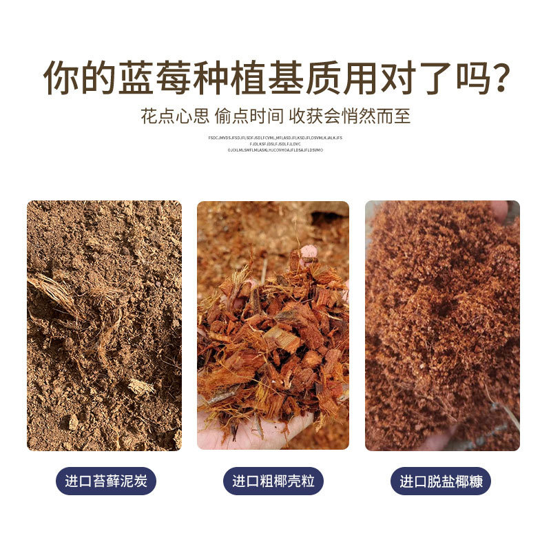 种蓝莓专用基质土营养土蓝莓树盆栽专用通用土壤蓝莓有机土土