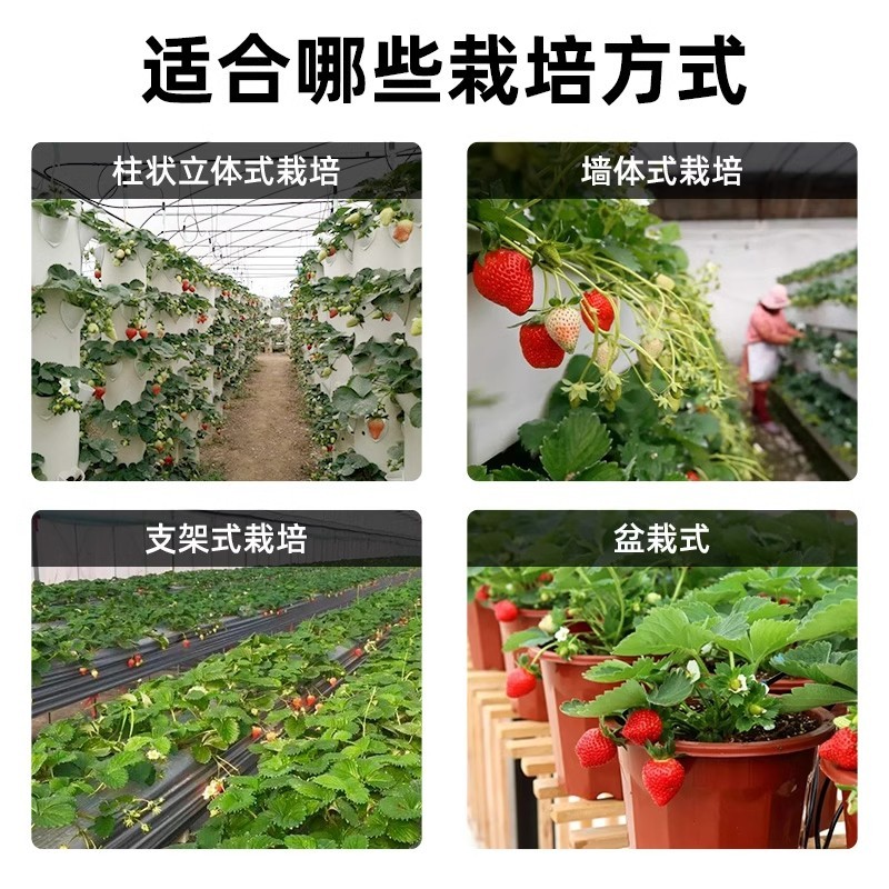 育苗基质栽培基质花卉营养土80L蔬菜瓜果草莓林木通用型