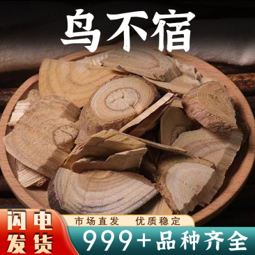 鸟不宿中药材正品批发