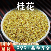 桂花干花中药材广西桂林新鲜桂花茶金桂花安国中药材批发