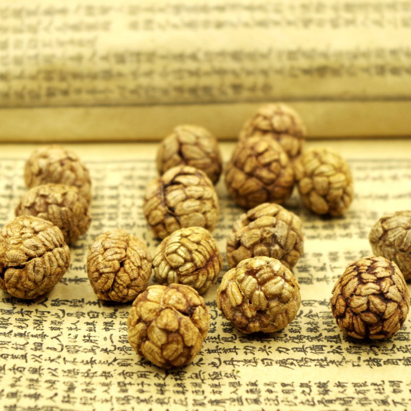 广西草寇中药材x香料老蔻飞雷子草豆蔻调料安国中药材批发