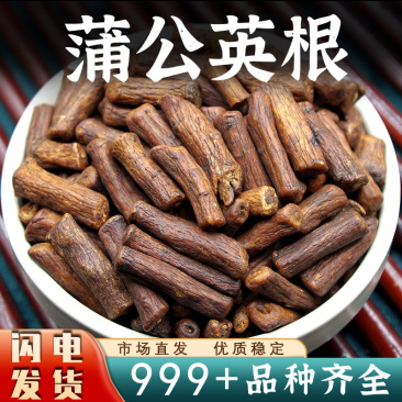 农家蒲公英根新品干货根整根切段安国中药材批发