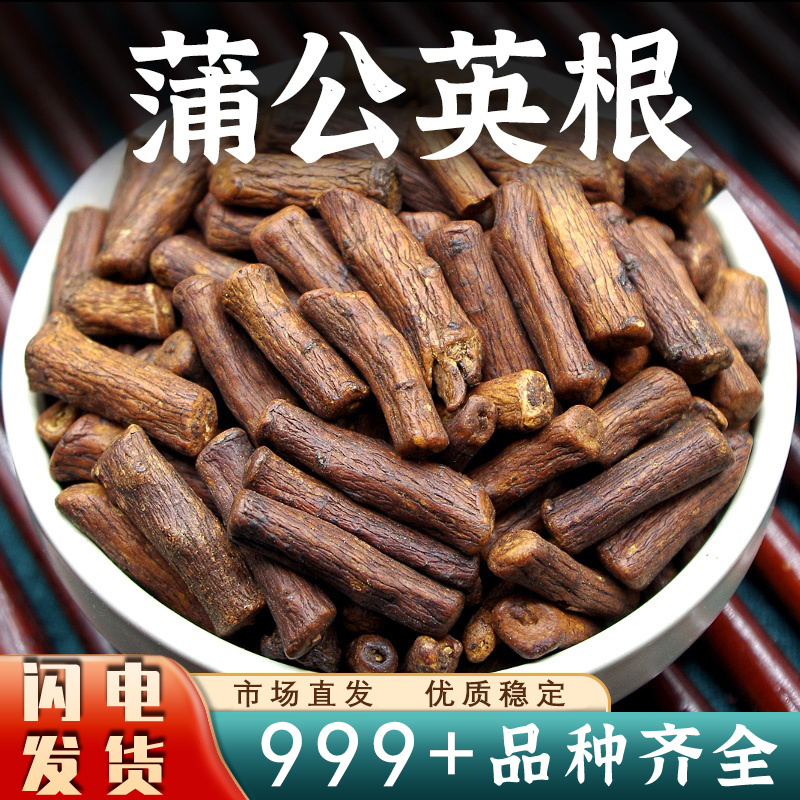 农家蒲公英根新品干货根整根切段安国中药材批发