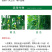 寿光双星增瓜灵黄瓜苦瓜增产剂雄花变雌花提高座