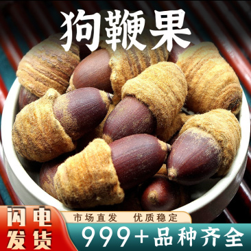 广西狗鞭果毛毛果猪仔粒凸型男泡酒中药材安国中药材批发