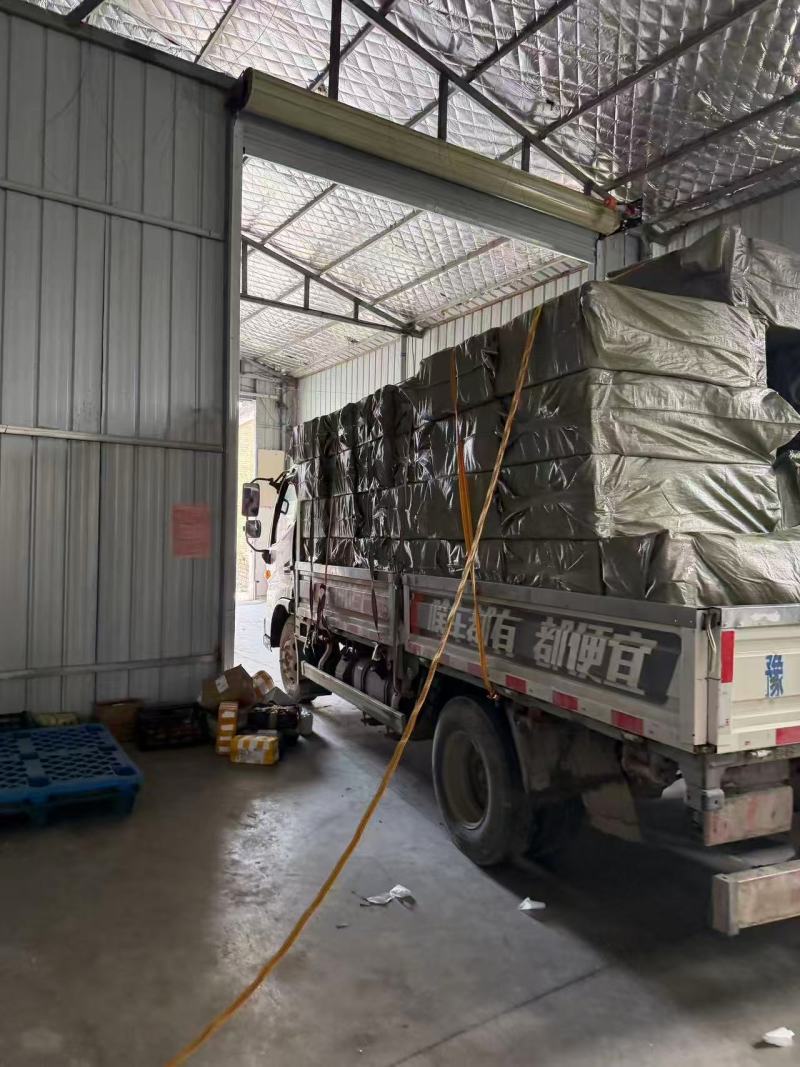 【蛋】活珠蛋鸡蛋活珠子商丘原产地工厂直发