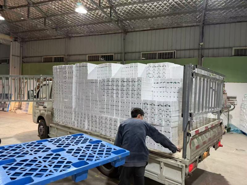 【蛋】活珠蛋鸡蛋活珠子商丘原产地工厂直发
