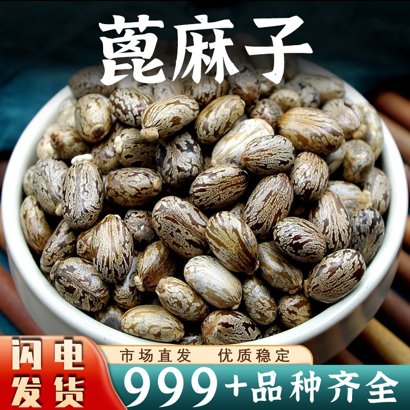 蓖麻子中药材蓖麻籽蓖麻仁蓖麻子大麻子外用不可内用批发