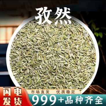 孜然正宗新疆孜然纯正精选烤肉烧烤撒料安国中药材批发