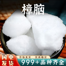 樟脑中药材樟脑樟脑粉潮脑安国中药材批发