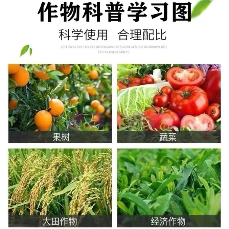 联苯噻虫胺颗粒剂蔬菜韭菜地下害虫韭蛆联苯菊酯噻虫胺农药杀