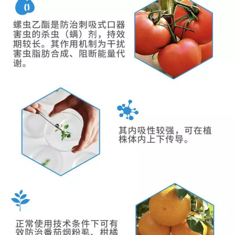 螺虫乙酯桃树介壳虫番茄烟粉虱用药螺虫乙酯杀虫剂适用范围广