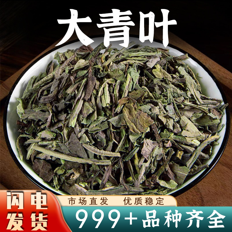 大青叶中药材新鲜大青叶板蓝根叶菘蓝菜叶干货安国中药材批发