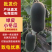 【山东小冬瓜】黑皮小冬瓜/兰陵冬瓜/精选黑皮冬瓜/便宜