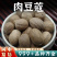肉蔻玉果肉扣肉豆蔻肉寇草果卤料大料安国中药材批发