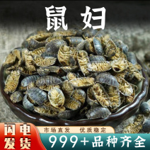 鼠妇中药材鼠妇虫潮虫西瓜虫非活虫体晒干新货安国中药材批发