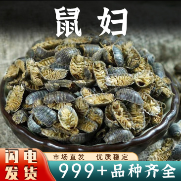 鼠妇中药材鼠妇虫潮虫西瓜虫非活虫体晒干新货安国中药材批发