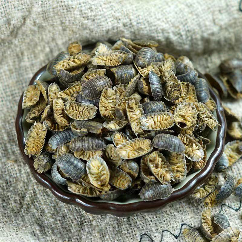 鼠妇中药材鼠妇虫潮虫西瓜虫非活虫体晒干新货安国中药材批发