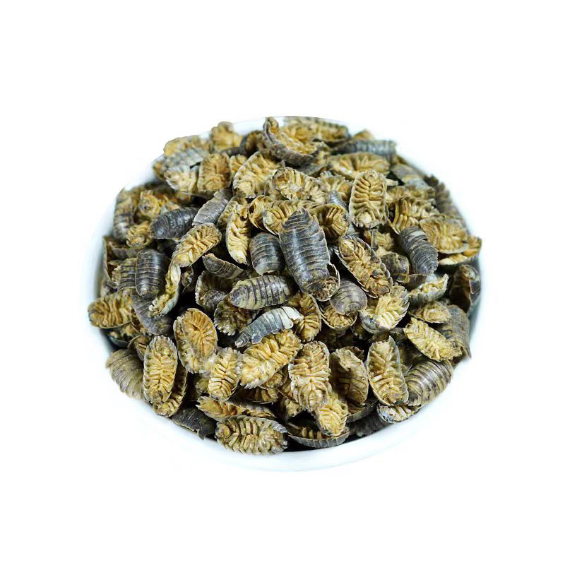 鼠妇中药材鼠妇虫潮虫西瓜虫非活虫体晒干新货安国中药材批发