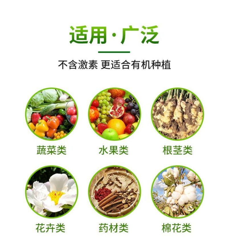 流体硼小分子硼促花促果提高坐果率微量元素农用补硼叶面肥