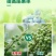流体硼螯合小分子硼农用叶面肥果树通用花芽分化提高座果率
