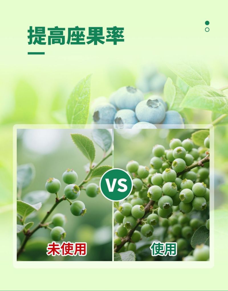 流体硼螯合小分子硼农用叶面肥果树通用花芽分化提高座果率
