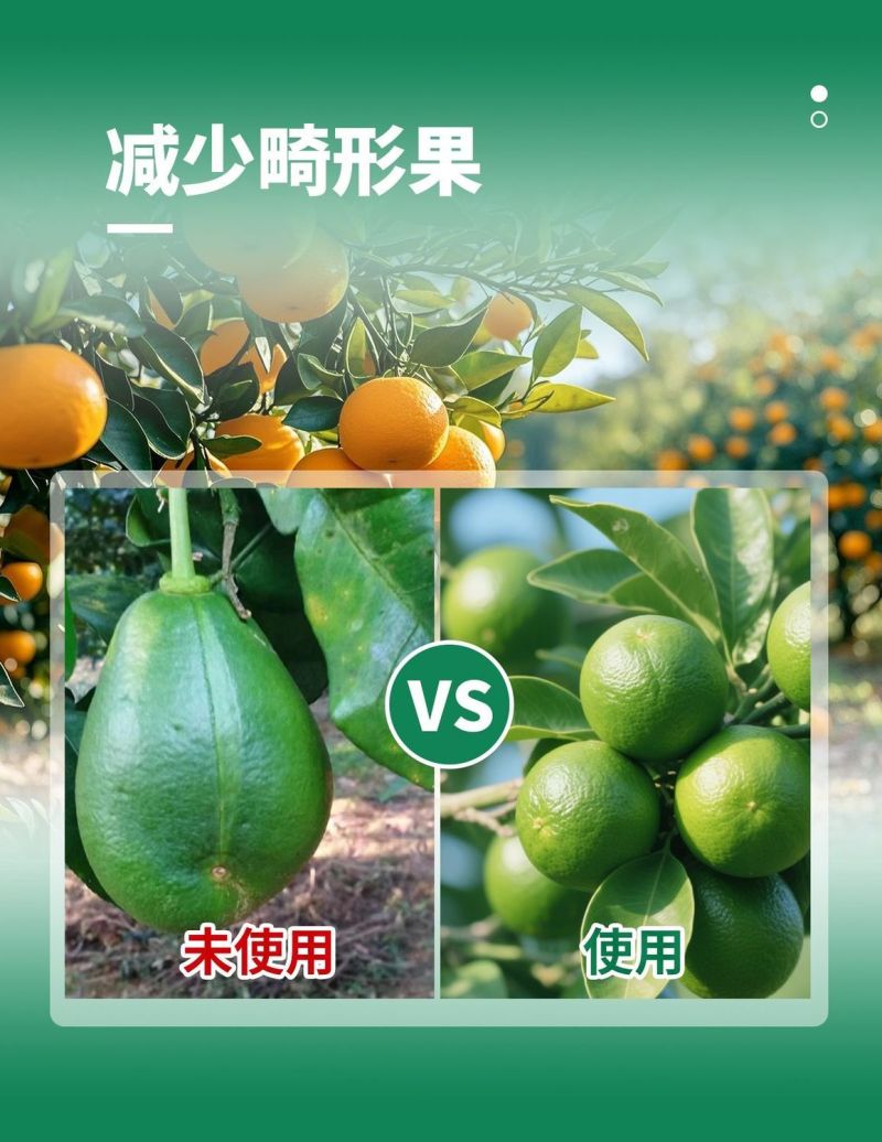 流体硼螯合小分子硼农用叶面肥果树通用花芽分化提高座果率