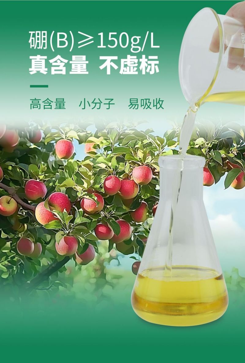 流体硼螯合小分子硼农用叶面肥果树通用花芽分化提高座果率