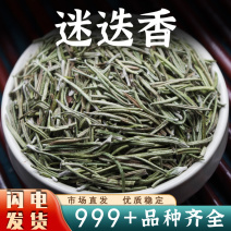 迷迭香中药材迷迭香精选可搭花草茶香养生花茶安国中药材批发