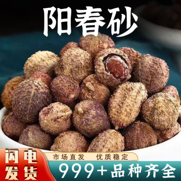 阳春砂仁广东春砂仁干果煲汤泡水安国中药材批发