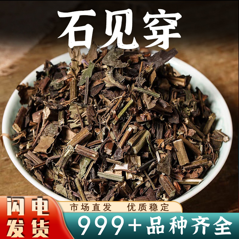 石见穿中药材紫参草月下红石见川新鲜干货安国中药材批发