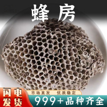 蜂房中药材露蜂房马蜂窝黄蜂窝蜂巢窝房野蜂窝巢干蜂巢批发