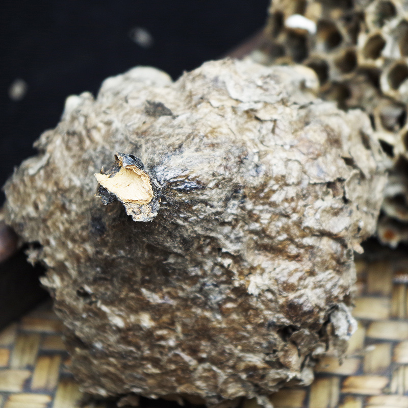 蜂房中药材露蜂房马蜂窝黄蜂窝蜂巢窝房野蜂窝巢干蜂巢批发