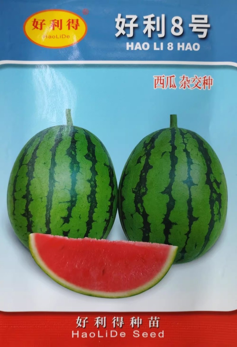 好利8号小西瓜种子早春吊瓜种籽早熟高产大红瓤皮薄多汁