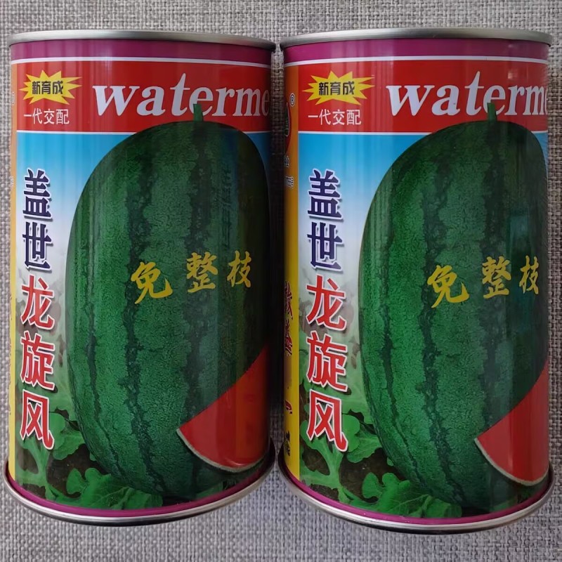 龙旋风西瓜种子抗重茬龙卷风西瓜种籽大红瓤多汁甜美高产大果