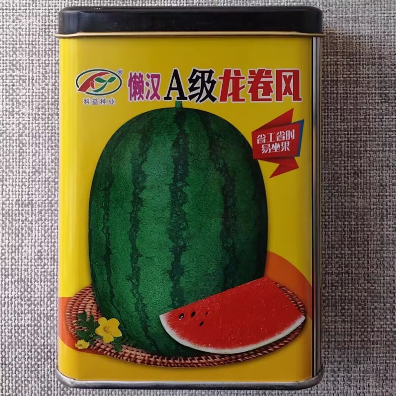 懒汉A级龙卷风西瓜种子抗重茬大果高产肉质细嫩大红西瓜种子