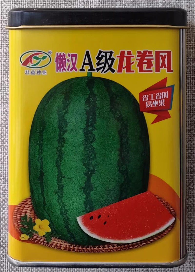 懒汉A级龙卷风西瓜种子抗重茬大果高产肉质细嫩大红西瓜种子