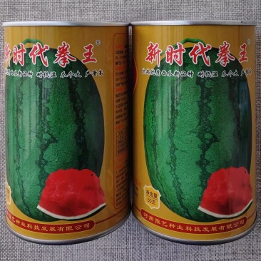 豫艺新时代拳王西瓜种子抗病优质龙卷风西瓜种籽沙瓤细嫩多汁