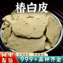 椿皮中药材椿白皮去外黑皮内白皮安国中药材批发