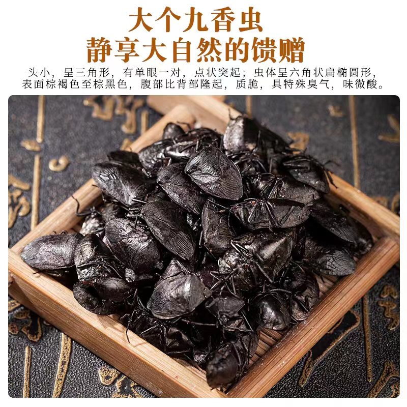 九香虫中药材打屁虫放屁虫臭壳子虫新鲜干货养殖非野生批发