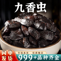 九香虫中药材打屁虫放屁虫臭壳子虫新鲜干货养殖非野生批发