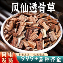 透骨草中药材凤仙透骨草新鲜非野生泡脚安国中药材批发