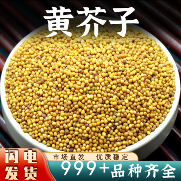黄芥子中药材新货黄芥籽香料黄芥茉子安国中药材批发